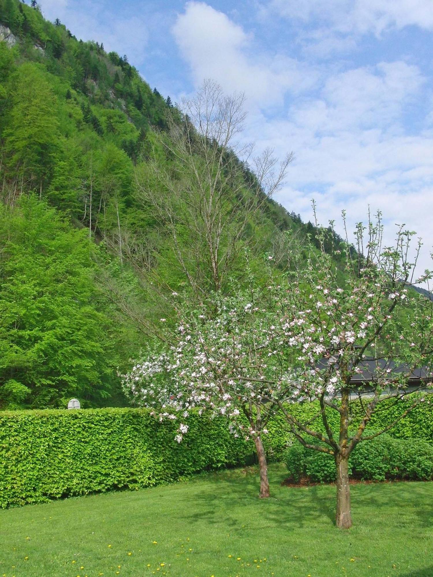 Haus Seehof Privatunterkunft *